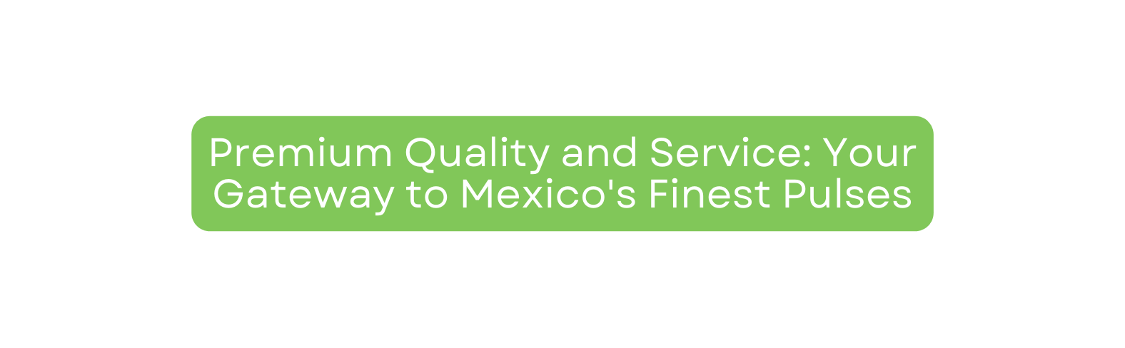 Premium Quality and Service Your Gateway to Mexico s Finest Pulses